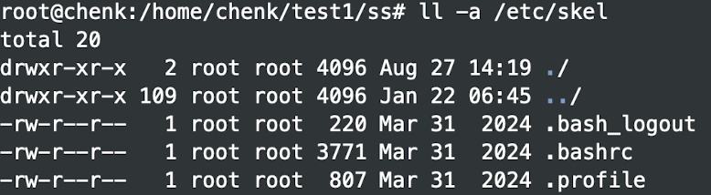 image-20250123174327446